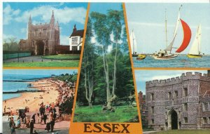 Essex Postcard - Views of Essex - Sailing at Burnham-on-Crouch etc   1896