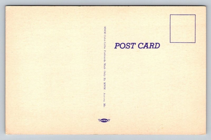 Look at that Blimp  Fat Lady  Comic Humor   Postcard