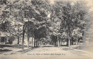 East Orange New Jersey~Grove Street North of William Street~Horse & Buggy~c1910