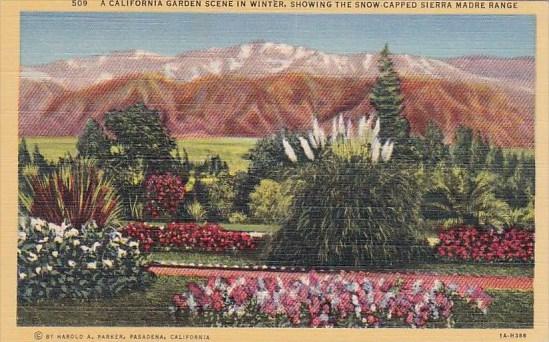 A California Garden Scene In Winter Showing The Snow Capped Sierra Madre Rang...