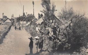 D70/ Xochimilco Mexico City Foreign RPPC Postcard c1930s Osuna Men Cactus