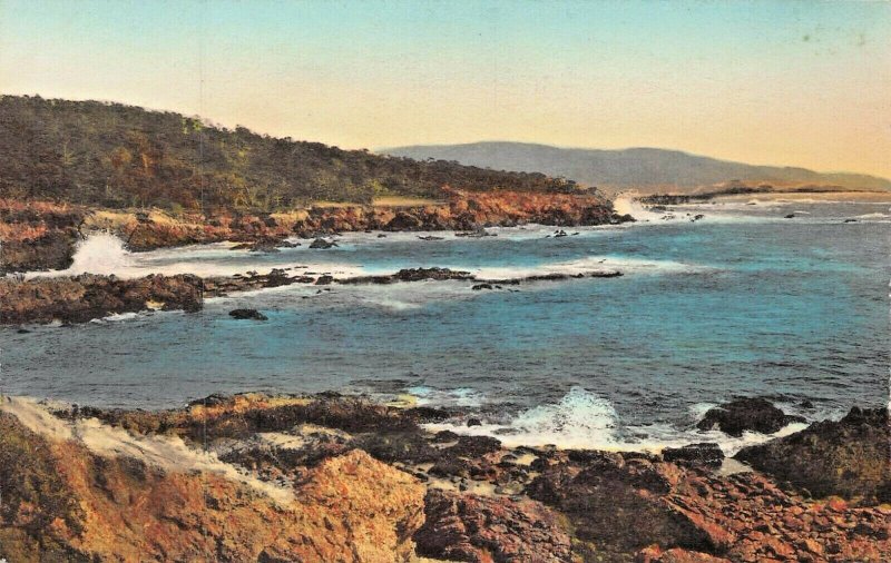 PEBBLE BEACH CA~DEL MONTE LODGE~CYPRESS POINT~ALBERTYPE PHOTO POSTCARD