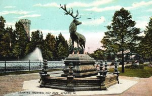 Vintage Postcard 1909 Drinking Fountain City Park Statue Reading Pennsylvania PA