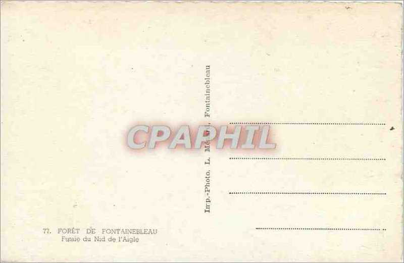 'Modern Postcard Forest of Fontainebleau Futaie of the Eagle''s Nest'