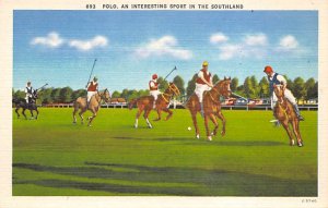 Polo an interesting spofrt in the Southland Polo Unused 