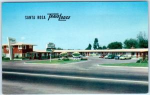 SANTA ROSA, California CA  Roadside TRAVELODGE  Sonoma County c1950s  Postcard