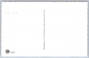 K48/ Mainzer Dressed Cat Cats Hartung c50s Postcard Comic L.I. Babysitting 215