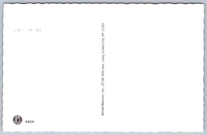 K48/ Mainzer Dressed Cat Cats Hartung c50s Postcard Comic L.I. Babysitting 215