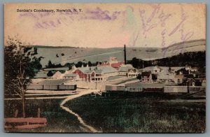 Postcard Norwich NY c1905 Bordens Condensery Dairy Plant Hand Colored