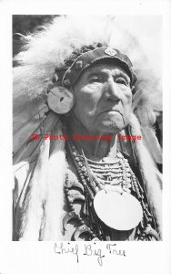 Native American Iroquois Indian, RPPC, Seneca Chief John Big Tree in Head Dress
