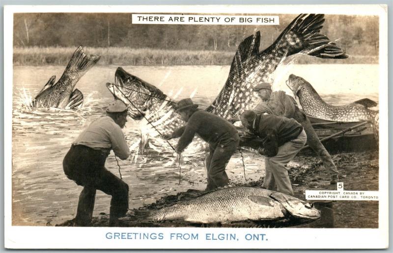 ELGIN ONT. CANADA FISHING EXAGGERATED VINTAGE REAL PHOTO POSTCARD RPPC