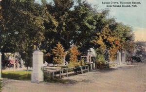 Nebraska Grand Island Lyons Grove Summer Resort 1910 Curteich