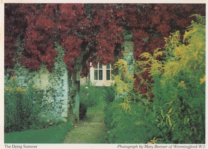 Wormingford Essex The Dying Summer Cottage Postcard