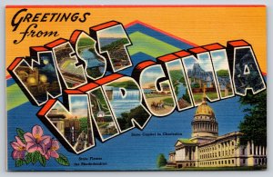 West Virginia Greetings~Rhododendron~Charleston~Large Letter Linen Postcard