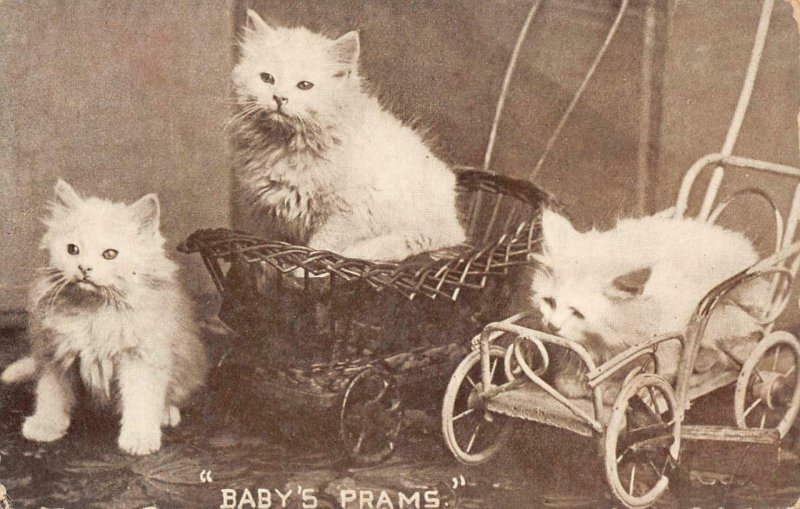 BABY PRAMS Cats Kittens Strollers Baby Carriages c1910s Vintage Postcard