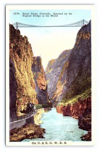 Royal Gorge Colorado Highest Bridge In  World On D. & R. G. W. R. R. Postcard