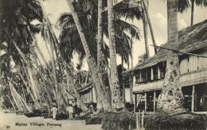malay malaysia, PENANG, Native Malay Village (1910s) Postcard