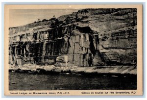 c1940's Gannet Ledges Bonaventure Island PQ Quebec Canada Unposted Postcard