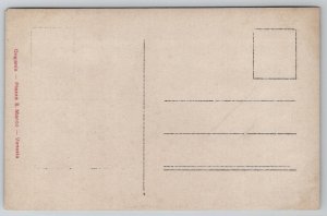 St John The Baptist by Titian RPPC Postcard L48