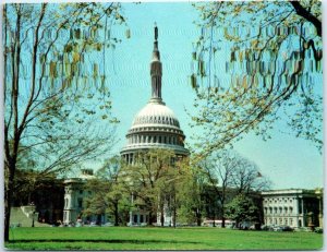 Postcard - United States Capitol - Washington, District of Columbia