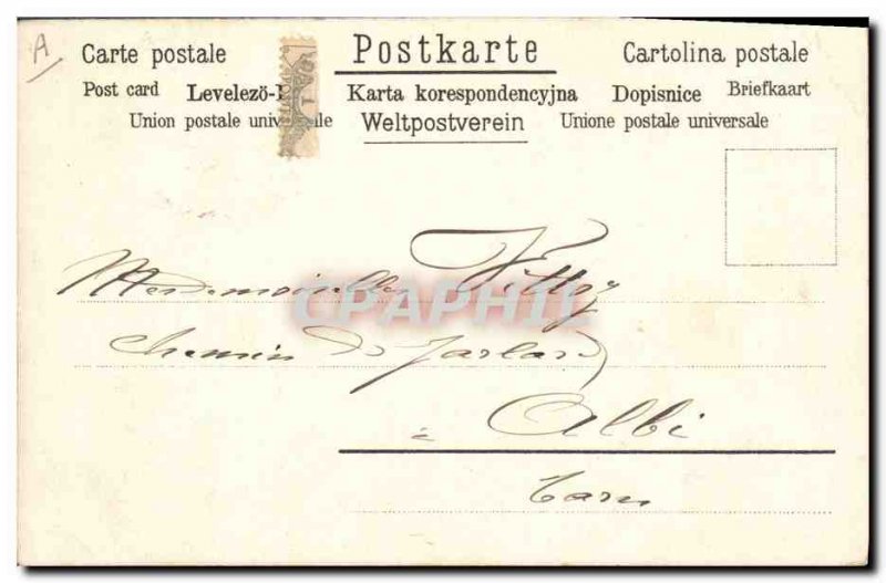 Postcard Old Pig Pig