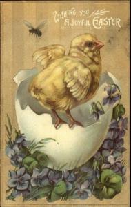 Easter - Hatched Chick Purple Flowers & Bug c1910 Postcard