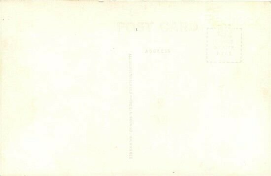 AZ, Yarnell, Arizona, Post Office, L.L. Cook, RPPC