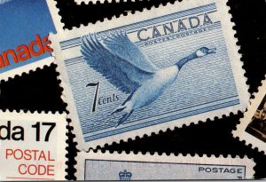 Stamps On Postcard Canada 7 Cent Flying Goose