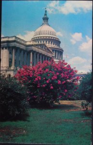 US Capitol Washington DC