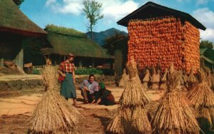 Vintage Postcard Farmyard at Oshima Village Mountain Country Near Fujiyama Japan