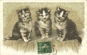 PC CATS, THREE CATS WITH BOWTIES, Vintage Postcard (b47226)