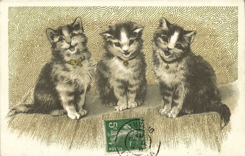 PC CATS, THREE CATS WITH BOWTIES, Vintage Postcard (b47226)