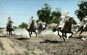 libya, Native Arab Cavalry, Horses (1960s)