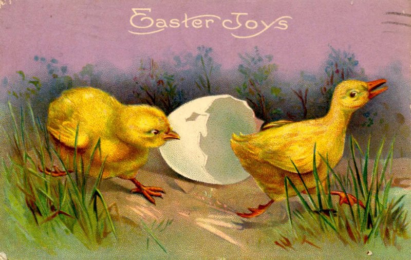 Greeting - Easter   (Chicks)