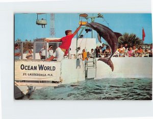 Postcard The porpoise, Fort Lauderdale, Florida