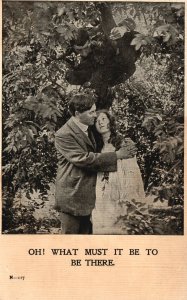 Vintage Postcard Lovers Couple Man Looking From The Tree What Must It Be There