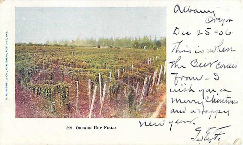 Oregon Hop Field OR 1906 Undivided Back Postcard