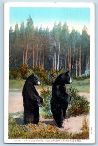 Yellowstone Park Wyoming Postcard Twin Cub Ears Black Bear c1928 Vintage Antique