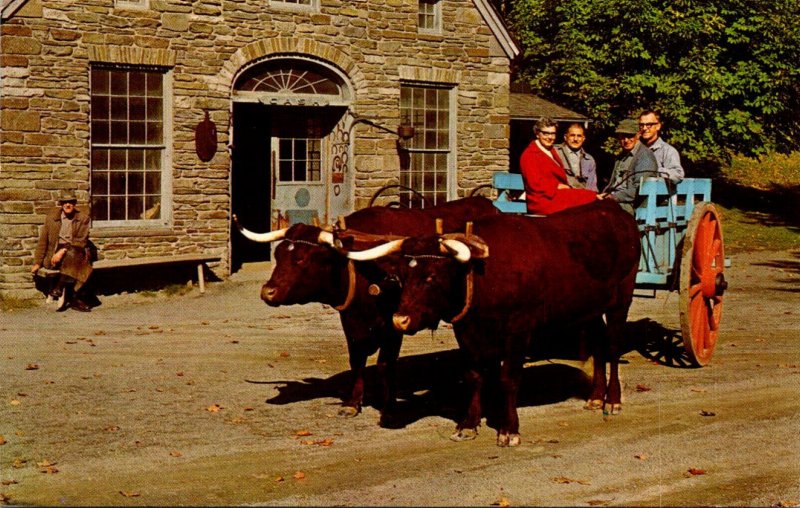 New York Cooperstown Farmers' Museum Oxen and Blacksmith Shop 1980