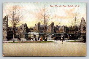 1908  Bear Pits  The Zoo   Buffalo  New York   Postcard
