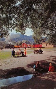 Picnickers, Roaring Camp & Big Trees Railroad Santa Cruz Co. Vintage Postcard