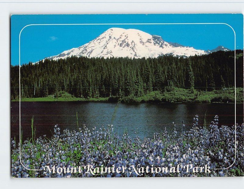 Postcard Mount Rainier National Park, Washington
