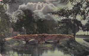 Willow Island Bridge - Niagara Falls NY, New York - pm 1910 - DB