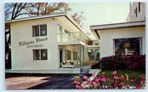 ST. PETERSBURG, Florida FL ~ Roadside HIBISCUS HOUSE Hotel c1950s Postcard
