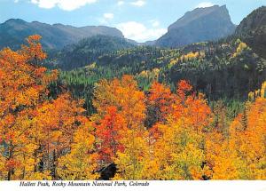 Hallett Peak - Rocky Mountain National Park, Colorado