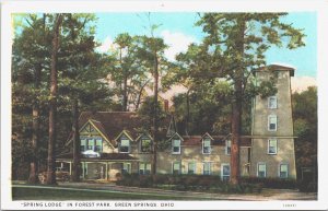 USA Spring Lodge In Forest Park Green Springs Ohio Vintage Postcard 09.10