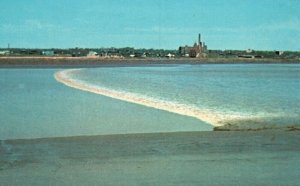 Vintage Postcard The Tidal Bore Giant Wave Moncton New Brunswick Canada