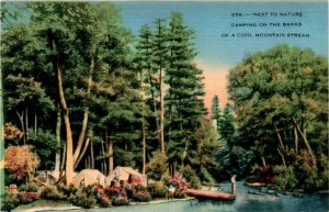 Asheville Post Card Co., North Carolina, camping, mountain stream, Postcard