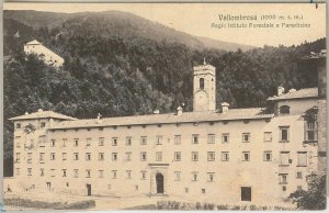 49713 vintage postcard - FIRENZE province: VALLOMBROSA-