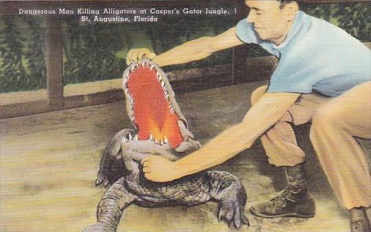 Florida Saint Augustine Dangerous Man Killing Alligators At Caspers Gator Jungle